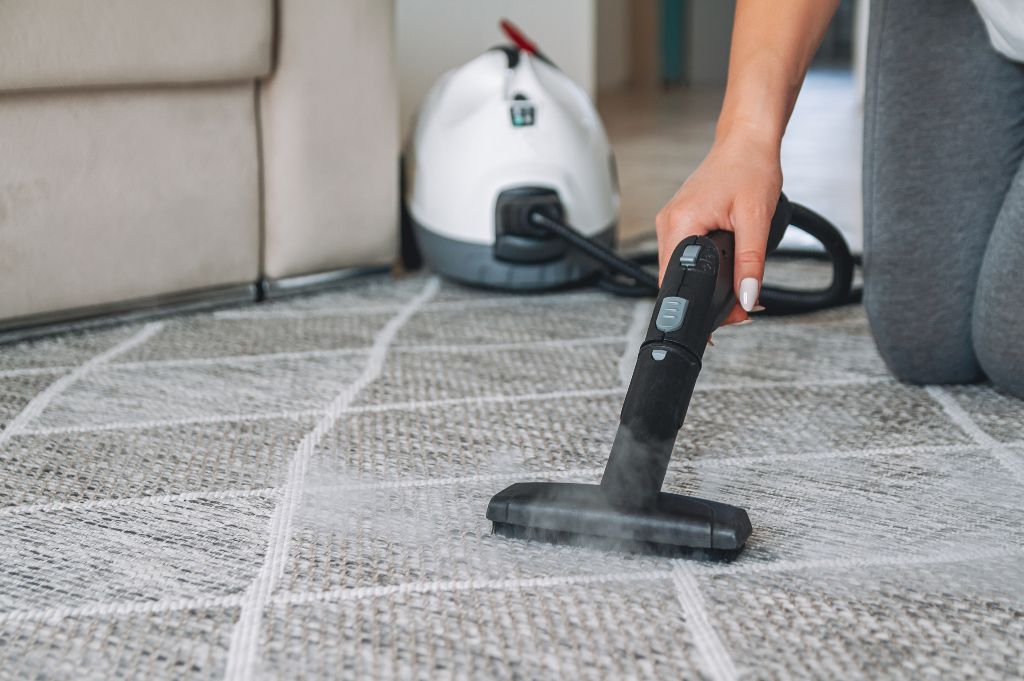 Carpet Cleaning 2