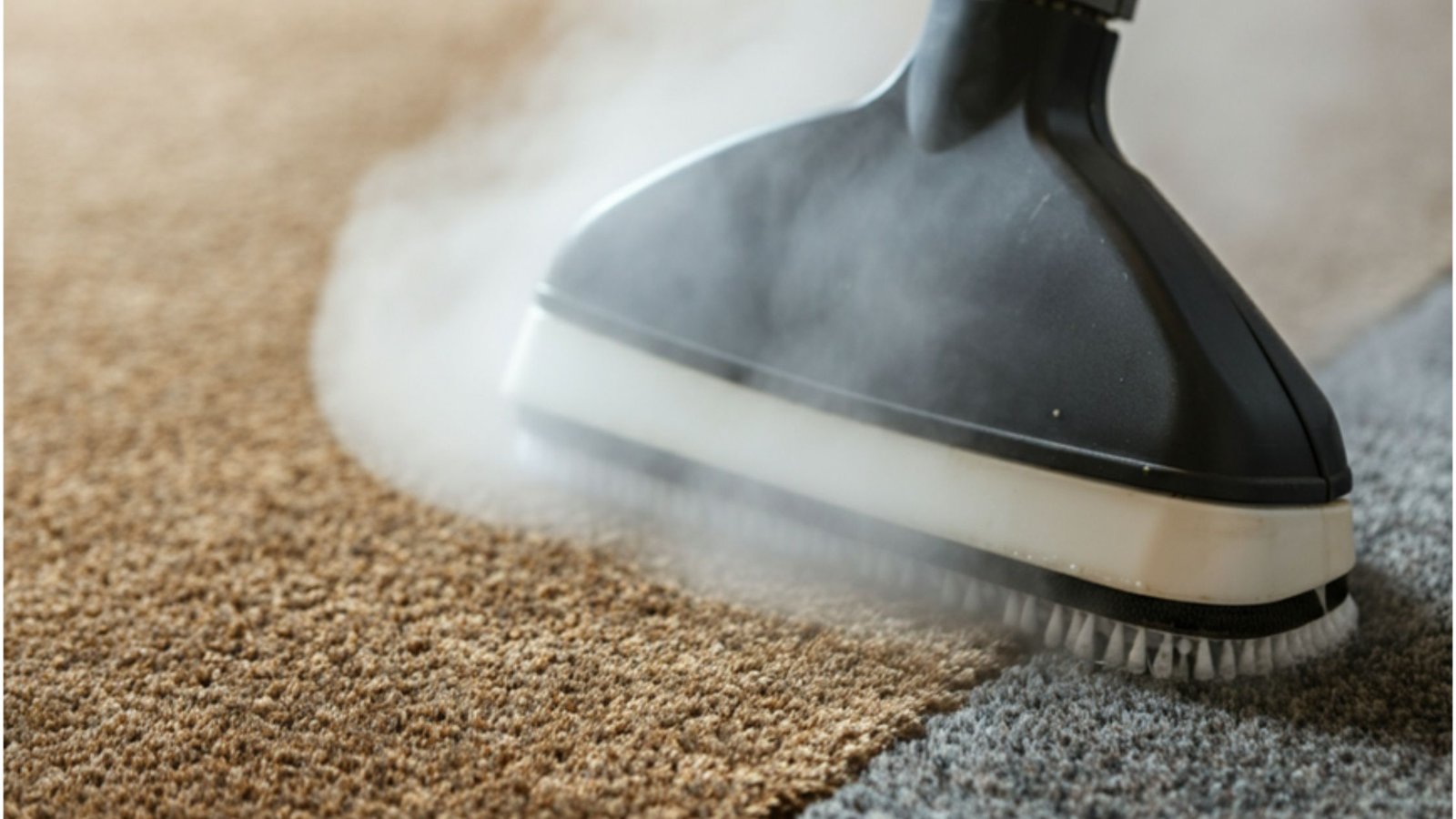 Carpet Cleaning Companies Perth
