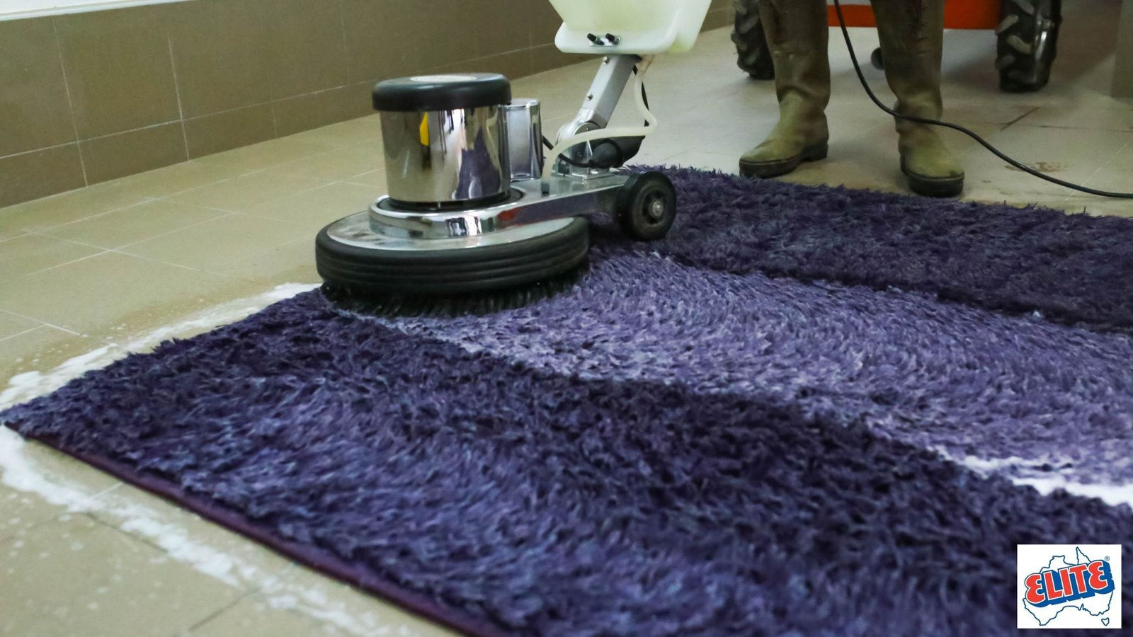 Carpet Cleaning