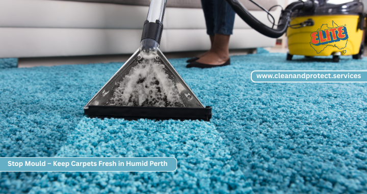 Carpet steam cleaning in Perth coastal home