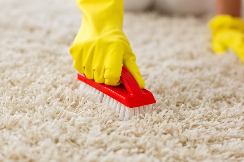 Carpet Cleaning Companies Perth