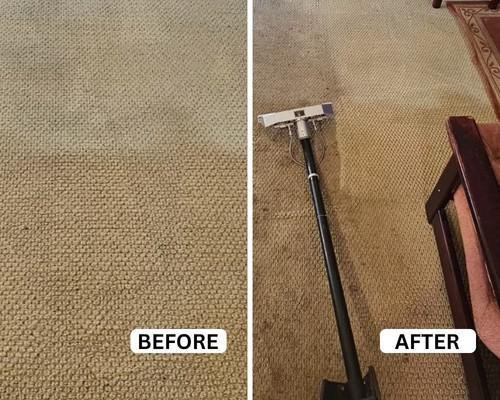 Professional carpet cleaning Perth before and after showing improved carpet appearance