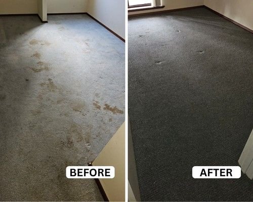 Carpet cleaning before and after Perth