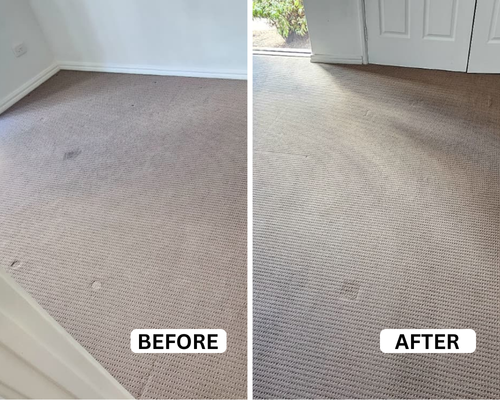 Tile and Grout Cleaning