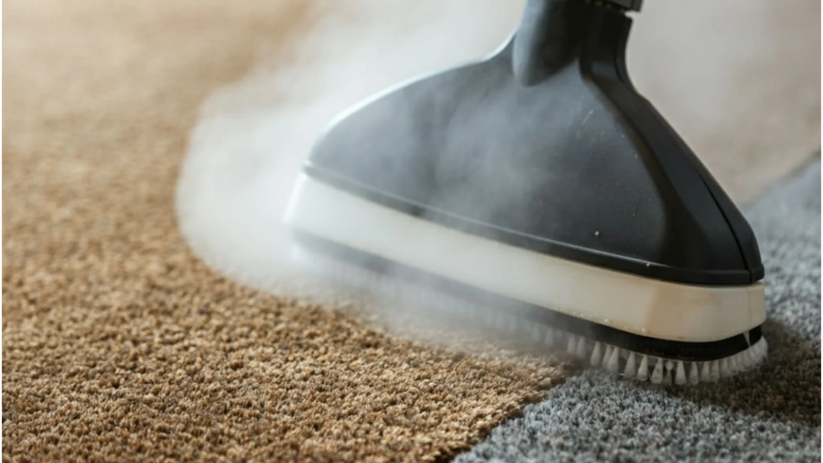 carpet steam cleaning service in Perth